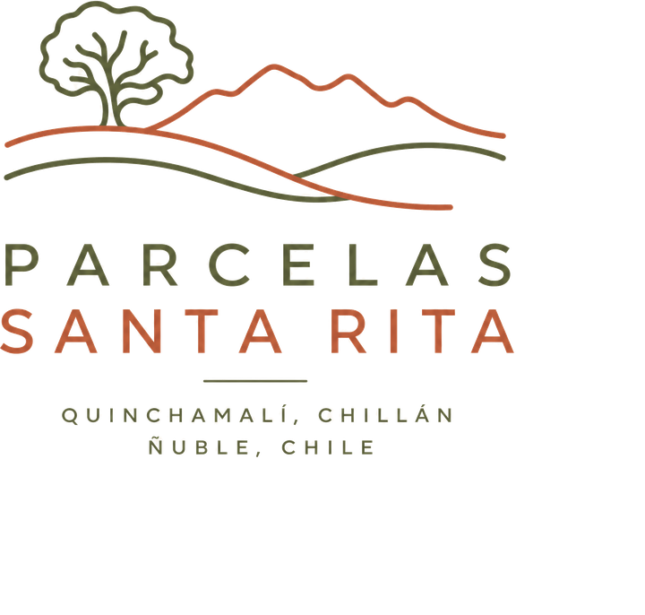 Parcelas Santa Rita — Quinchamalí, Chillán, Ñuble, Chile